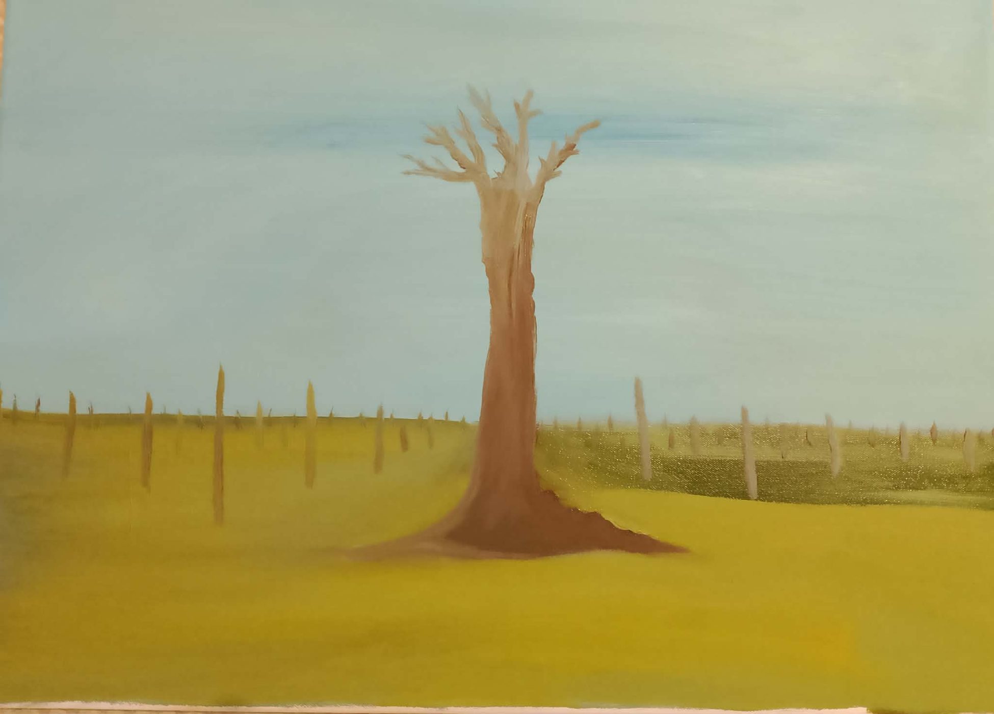 Untitled 12